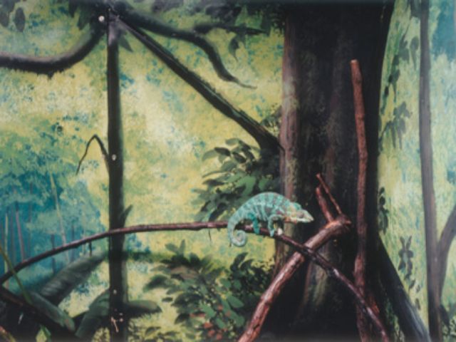 Zoologische Gärten