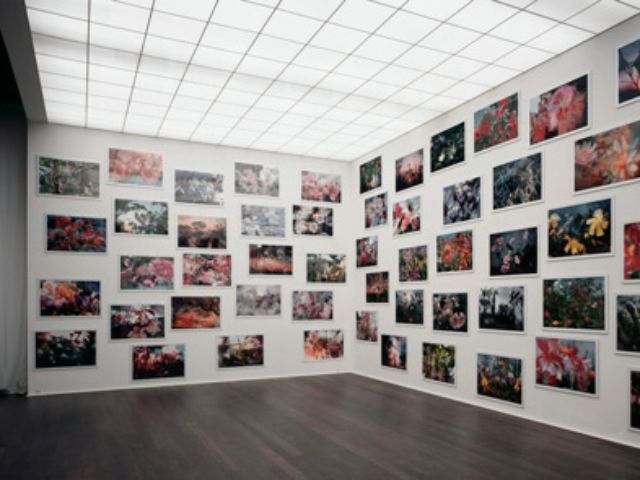 Peter Fischli/David Weiss, 8/1998