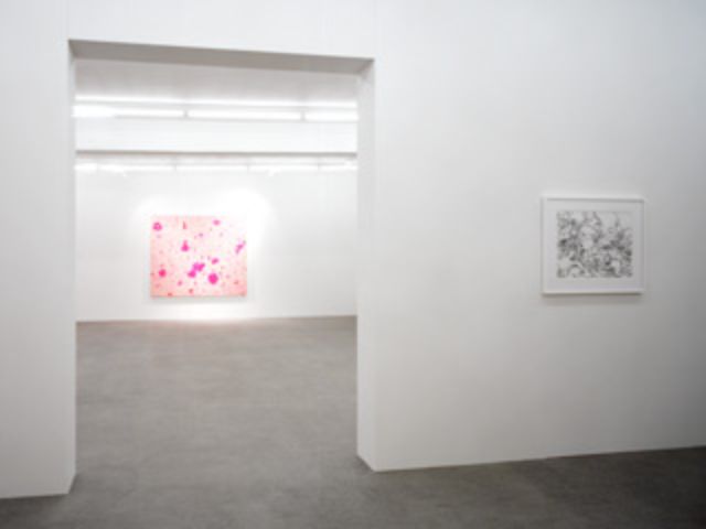 Sue Williams, 6/2006