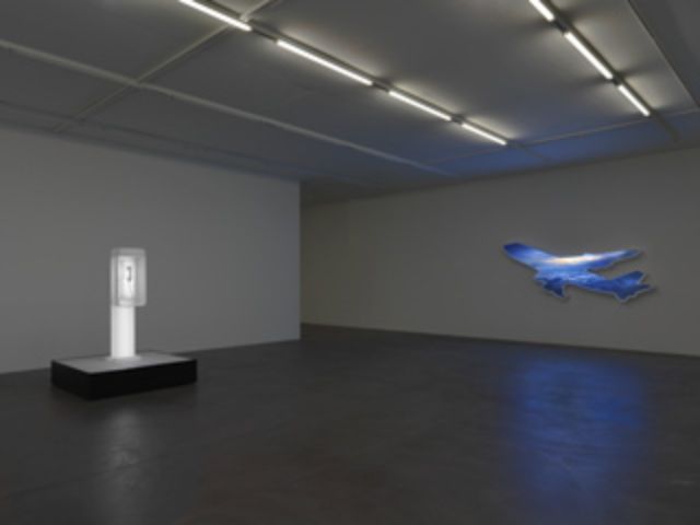 Doug Aitken