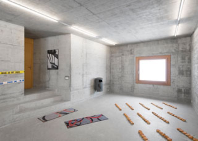 Readymade, Curated by Fredi Fischli and Niels Olsen