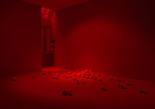 DOUGLAS GORDON